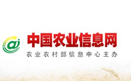 中國農(nóng)業(yè)網(wǎng)